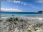 foto Spiagge a Santa Teresa di Gallura